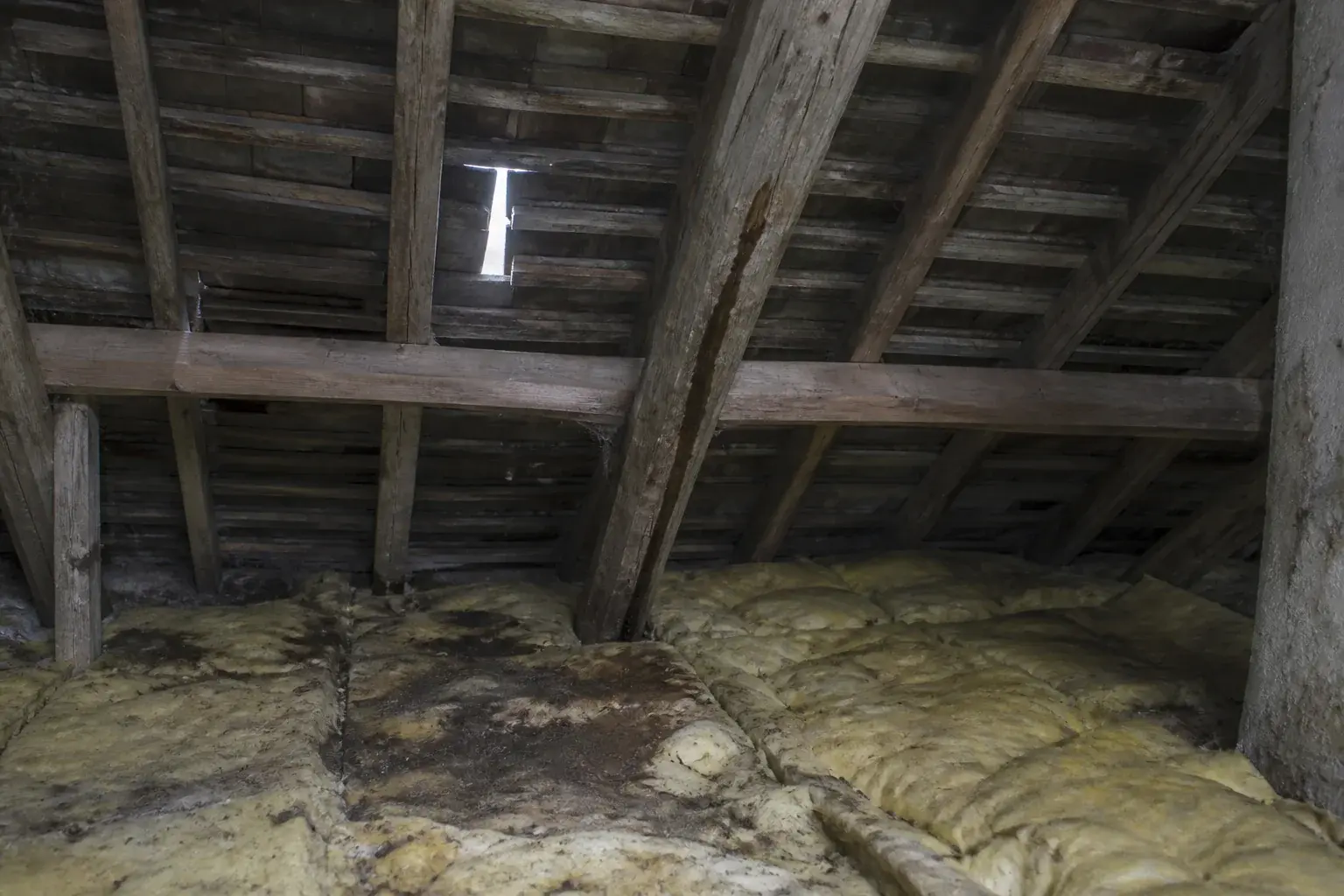 Combles non aménagés vus de l’intérieur : un rai de jour entre deux tuiles plates, une coulure sombre le long d’un chevron, de la laine de verre mouillée et tachée en dessous