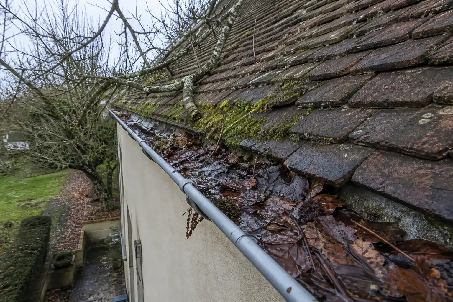 Gouttière en zinc pleine de feuilles mortes et d’eau stagnante sous un toit de tuiles plates moussues, une branche de chêne posée sur la couverture