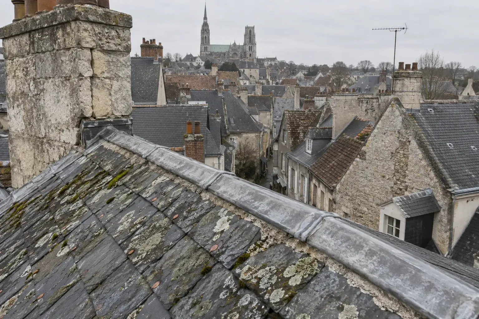 Toits d’ardoise et de tuile plate serrés dans un centre ancien, faîtage en plomb, souche en pierre et flèches d’une cathédrale au fond, par ciel couvert